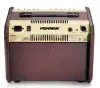 Fishman Loudbox Mini Electric Guitar Amplifier